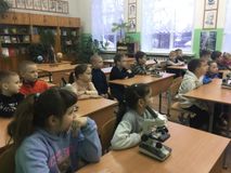 Урок естествознания в младших классах