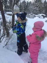 Акция "Покормите птиц зимой!"