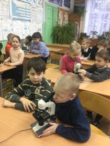 Урок естествознания в младших классах